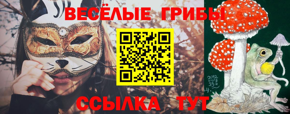 Галлюциногенные грибы MAGIC MUSHROOMS Находка