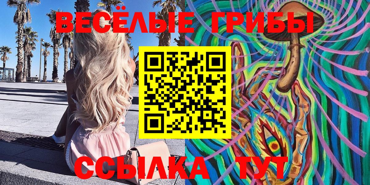 Псилоцибиновые грибы GOLDEN TEACHER  Вход с VPN  Находка 